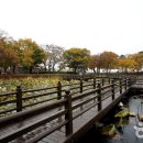 연못으로 이미지