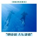 다콩나라 | [공지] 오키나와 민나섬 스노쿨링 투어_오키투어 솔직 후기_오키나와 여행 북부