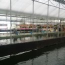 새미 낚시터 이미지