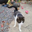 새롬민박 이미지