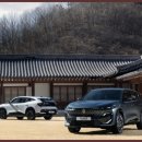 덴테크 | "세단이야 SUV야?" 르노 필랑트, 승차감 하나로 시장 안착 성공