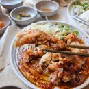정든카츠 - 김해시 | 정든카츠