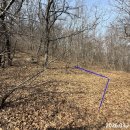 상2리 마을회관 이미지