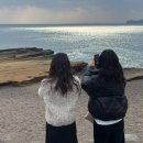 소낭집 | ✨ 제주 여행 2일차 | 에어비앤비 소낭집 후기 + 사계해변 &amp; 크리스마스마켓 (감성 가득 코스)