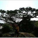 양평1동-4 이미지