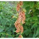 아름이농장 이미지