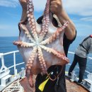 언덕나무펜션 이미지