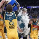 월드태양광 이미지