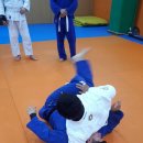 분당화랑 유도&주짓수 이미지