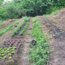 김해농장 이미지