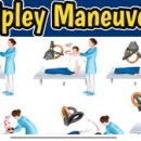 바크먼트 이미지