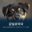 감일로약국 이미지