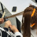 헤어미용자격증 이미지