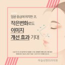 하늘성형외과의원 이미지