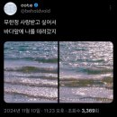 자유로운 불꽃처럼 독수리 날개짓처럼 위대한 거인들과 맞서리라🦅