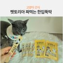 츄르한입 | 고양이츄르 펫토리아 짜먹는 한입뚝딱 고양이 츄르간식추천