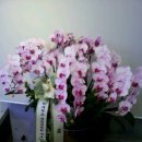 오투피부과의원 이미지