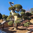 궐리사 화장실 이미지