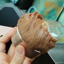 앙젤리나 | 파리 앙젤리나 몽블랑 후기｜크로아상까지 맛본 최고의 디저트