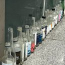 전북대학교자연사박물관 | [전주 전북대 맛집] 달코롬 딱새우와 연어장, 낙지들기름국수와 덮밥 (전통주를 곁들인)