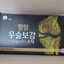 아리항 이미지