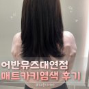 대연엘리시아 | [부산 대연동] 어반뮤즈헤어살롱 -대연역미용실 사사키 매트브라운 염색 후기_ 서경부원장