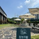 산채골 | 포천시 대형 베이커리 카페 숲속의 제빵소 (내돈내산)