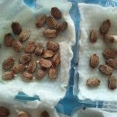 여주-0415 이미지