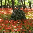 성주산휴양림 이미지