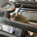 빅스짐 용호점 이미지