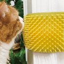 그루밍펫 이미지