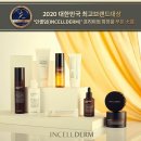 겨울철크림추천 피부 장벽 보습 이데베논 펩타이드 인셀덤 엑티브크림