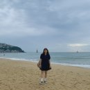 9월 11일- 17일