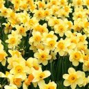 (주)해솔 이미지