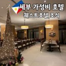호텔보보(HOTEL VOVO) | 세부 호텔 퀘스트호텔 조식 다양한 메뉴 가성비