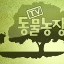 한세농장 이미지