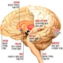 수험생을 위한 마음챙김 명상 이미지