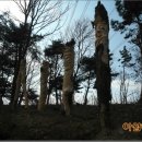 흥제 Daum카페