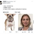 오늘 개봉한 ＜범죄도시4＞에서 반응 터지고있는 캐릭ㅋㅋㅋ(X) 이미지