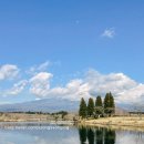 민영목장2 | 시즈오카 후지산 사진 포인트 5곳 솔직 후기– 구름 많은 날, 가기 좋았던 곳 vs 아쉬웠던 곳