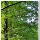 강천산 캠핑 이미지