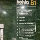 코키아병원 | [파주 코키아병원] 소아청소년과 진료 시작! 김혜임 원장님 진료시간 안내