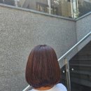 유미장원 이미지