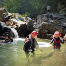 영남알프스 복합웰컴센터 알프스시네마(1,2관) 이미지