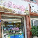 예일오리숲 이미지
