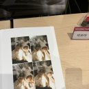 태인빌딩 | W. 1. 스튜디오의 늪 .. 🌳📸 (feat. 감성과 인물중심을 곁들인..) +견적공유
