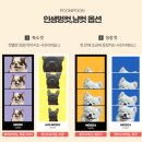 인생멍컷 이미지