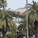 롯데렌트카 | 제주 롯데렌트카 아반떼 하이브리드 후기 , 30세 미만운전자 추가