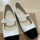 세라갤러리아대전