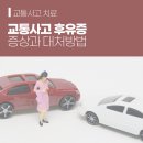 신호한의원 티스토리